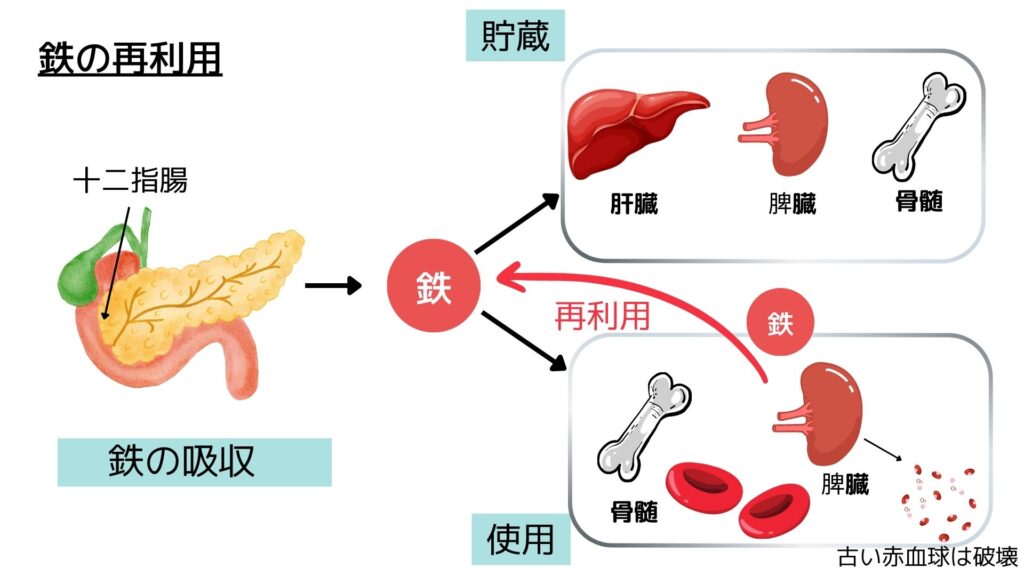 鉄の再利用